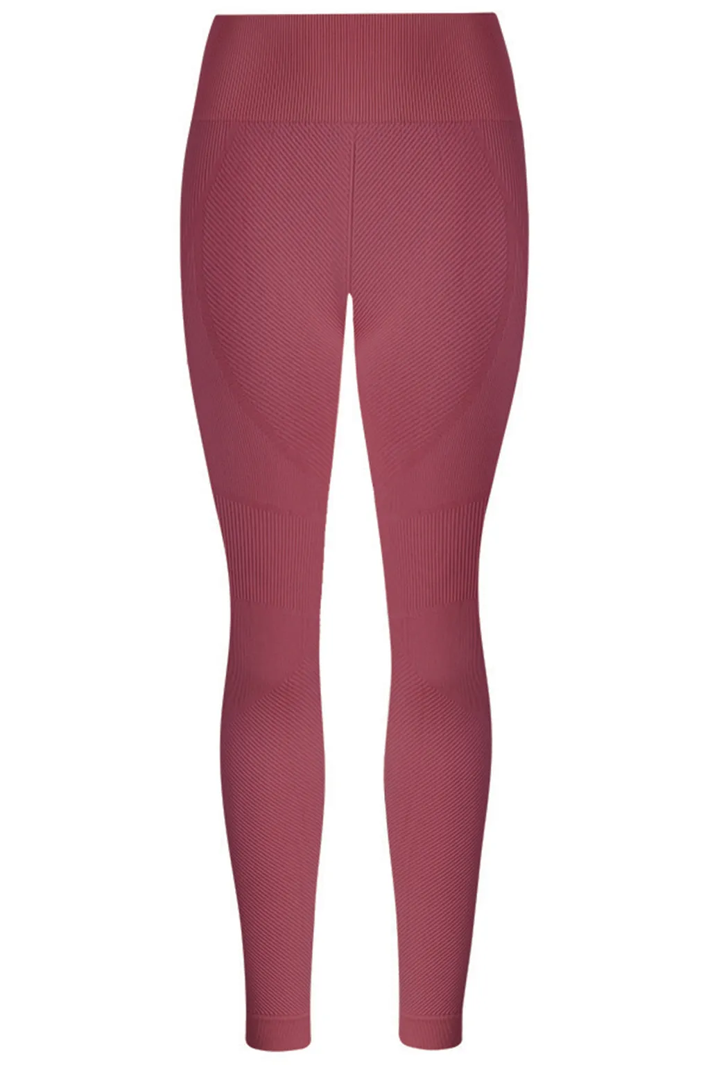 Sport Intense Legging Basic Pants